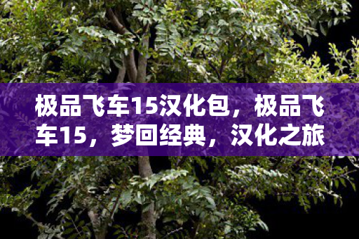 极品飞车15汉化包，极品飞车15，梦回经典，汉化之旅