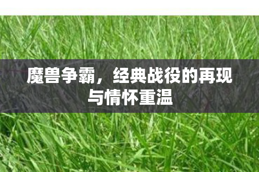 魔兽争霸，经典战役的再现与情怀重温