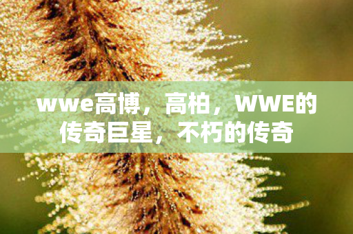 wwe高博，高柏，WWE的传奇巨星，不朽的传奇