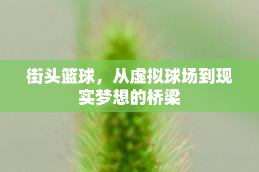 街头篮球，从虚拟球场到现实梦想的桥梁