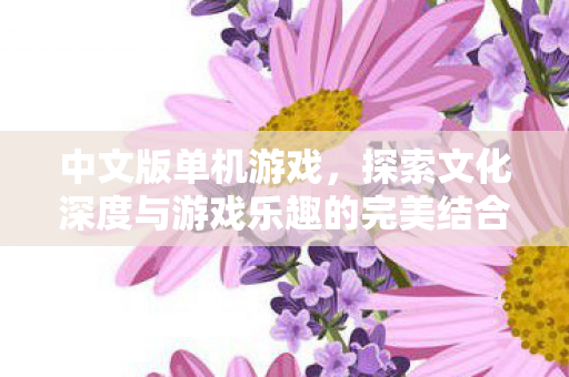 中文版单机游戏，探索文化深度与游戏乐趣的完美结合