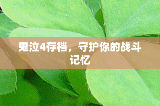 鬼泣4存档，守护你的战斗记忆