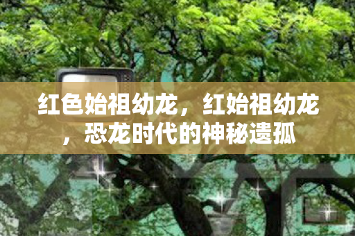 红色始祖幼龙,红始祖幼龙,恐龙时代的神秘遗孤 红色始祖幼龙,红始祖幼龙,恐龙时代的神秘遗孤