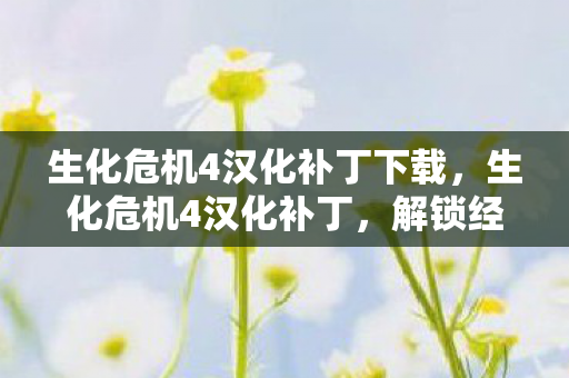 生化危机4汉化补丁下载，生化危机4汉化补丁，解锁经典游戏的中文之旅