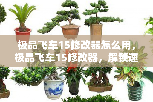 极品飞车15修改器怎么用，极品飞车15修改器，解锁速度与激情的无限可能