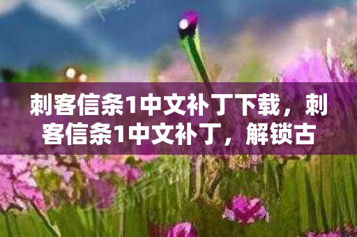 刺客信条1中文补丁下载，刺客信条1中文补丁，解锁古老历史的钥匙