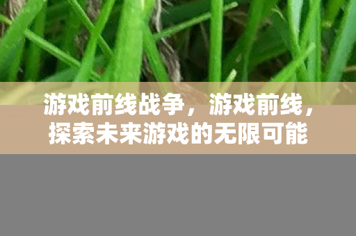 游戏前线战争，游戏前线，探索未来游戏的无限可能