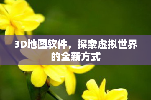 3D地图软件，探索虚拟世界的全新方式