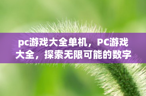 pc游戏大全单机，PC游戏大全，探索无限可能的数字娱乐世界