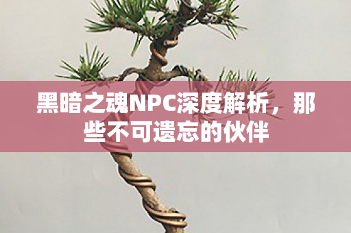 黑暗之魂NPC深度解析，那些不可遗忘的伙伴
