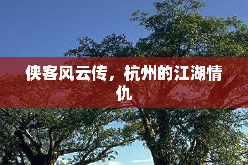 侠客风云传，杭州的江湖情仇