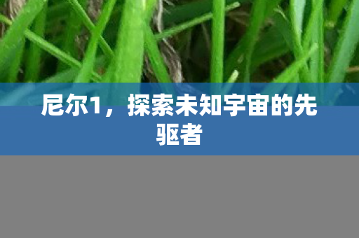 尼尔1,探索未知宇宙的先驱者 尼尔1,探索未知宇宙的先驱者