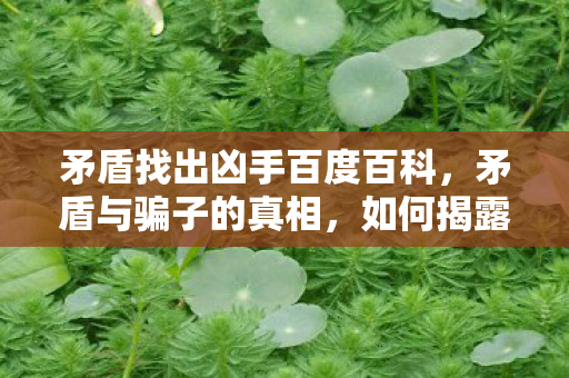 矛盾找出凶手百度百科，矛盾与骗子的真相，如何揭露并防范欺诈行为