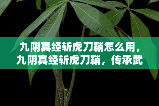 九阴真经斩虎刀鞘怎么用,九阴真经斩虎刀鞘,传承武侠之魂的精美工艺 九阴真经斩虎刀鞘怎么用,九阴真经斩虎刀鞘,传承武侠之魂的精美工艺