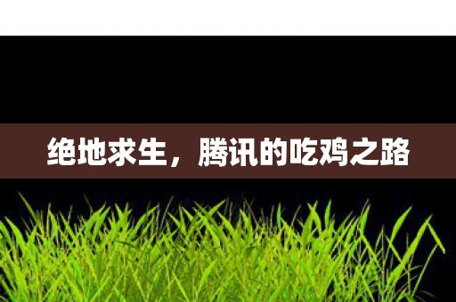 绝地求生，腾讯的吃鸡之路