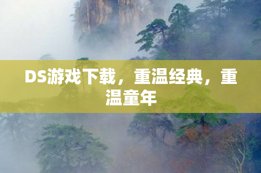 DS游戏下载,重温经典,重温童年 DS游戏下载,重温经典,重温童年