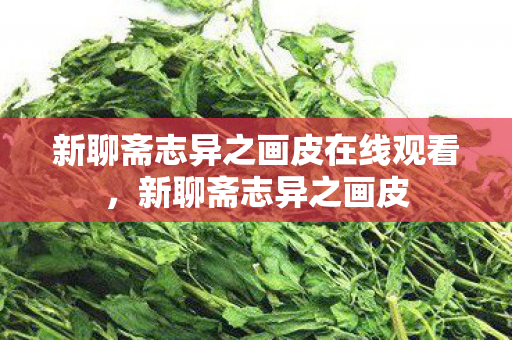 新聊斋志异之画皮在线观看，新聊斋志异之画皮