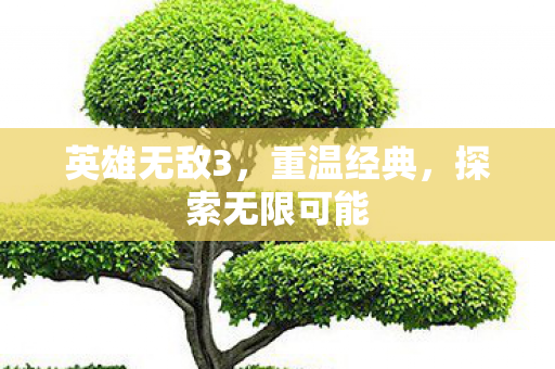 英雄无敌3,重温经典,探索无限可能 英雄无敌3,重温经典,探索无限可能