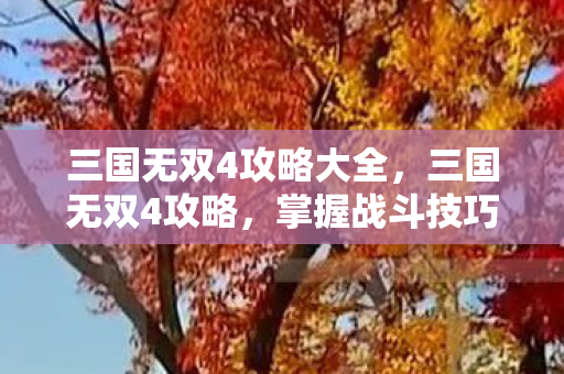 三国无双4攻略大全,三国无双4攻略,掌握战斗技巧,征服三国乱世 三国无双4攻略大全,三国无双4攻略,掌握战斗技巧,征服三国乱世