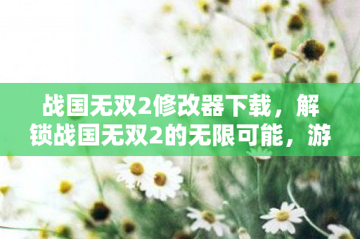 战国无双2修改器下载，解锁战国无双2的无限可能，游戏修改器全解析