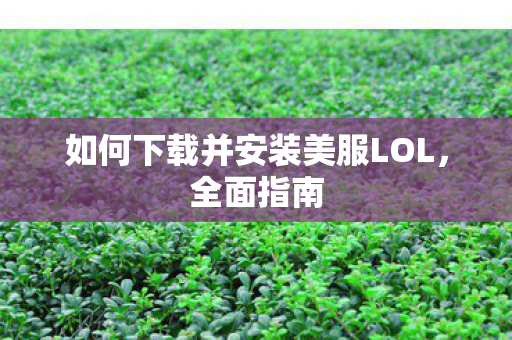 如何下载并安装美服LOL，全面指南