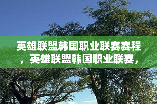英雄联盟韩国职业联赛赛程,英雄联盟韩国职业联赛,激情与荣耀的舞台 英雄联盟韩国职业联赛赛程,英雄联盟韩国职业联赛,激情与荣耀的舞台