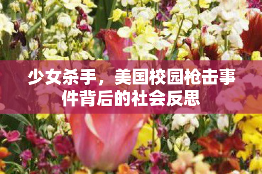 少女杀手，美国校园枪击事件背后的社会反思