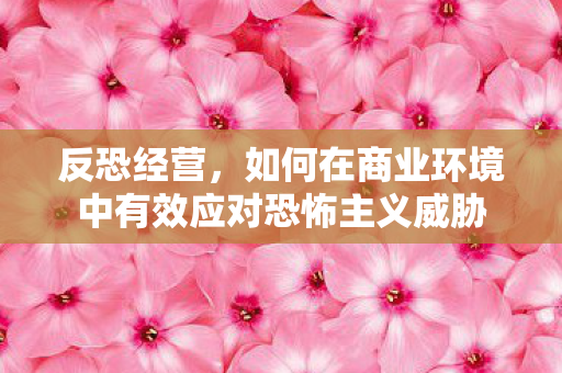 反恐经营，如何在商业环境中有效应对恐怖主义威胁