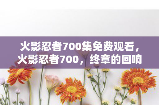 火影忍者700集免费观看，火影忍者700，终章的回响