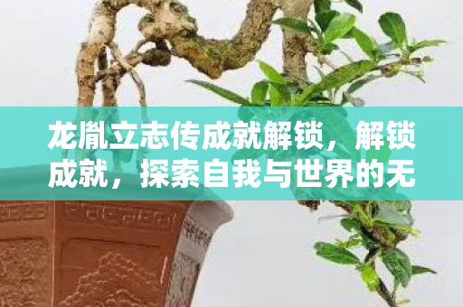 龙胤立志传成就解锁，解锁成就，探索自我与世界的无限可能