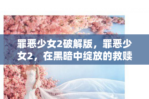 罪恶少女2破解版，罪恶少女2，在黑暗中绽放的救赎之花
