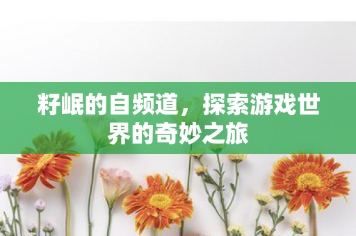 籽岷的自频道，探索游戏世界的奇妙之旅