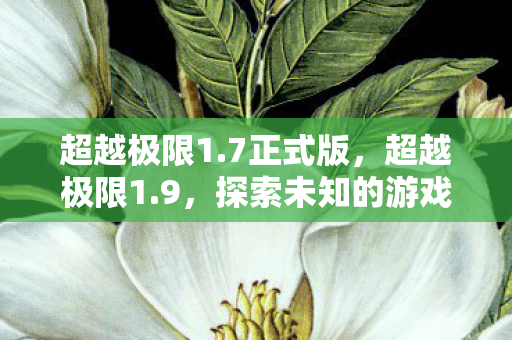 超越极限1.7正式版，超越极限1.9，探索未知的游戏世界