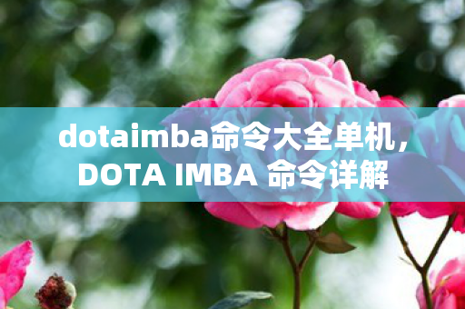 dotaimba命令大全单机，DOTA IMBA 命令详解