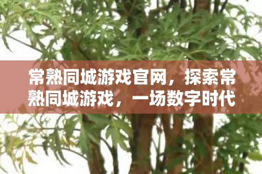 常熟同城游戏官网，探索常熟同城游戏，一场数字时代的娱乐盛宴