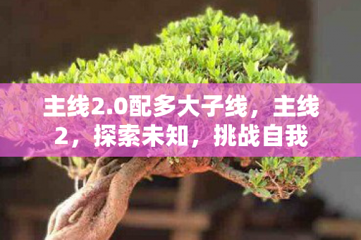 主线2.0配多大子线,主线2,探索未知,挑战自我 主线2.0配多大子线,主线2,探索未知,挑战自我