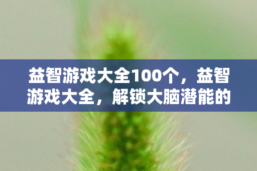 益智游戏大全100个，益智游戏大全，解锁大脑潜能的钥匙