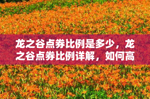 龙之谷点券比例是多少,龙之谷点券比例详解,如何高效利用你的虚拟货币 龙之谷点券比例是多少,龙之谷点券比例详解,如何高效利用你的虚拟货币