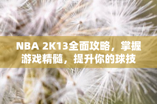NBA 2K13全面攻略，掌握游戏精髓，提升你的球技