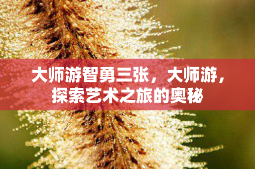 大师游智勇三张，大师游，探索艺术之旅的奥秘