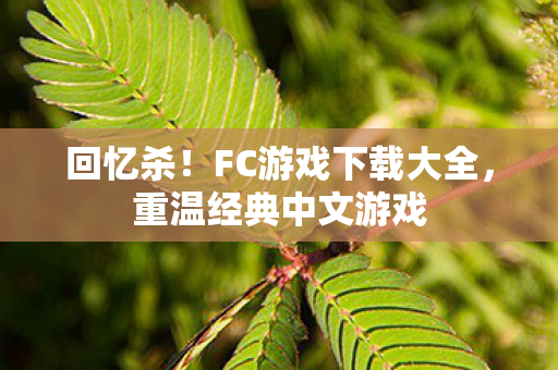 回忆杀！FC游戏下载大全，重温经典中文游戏