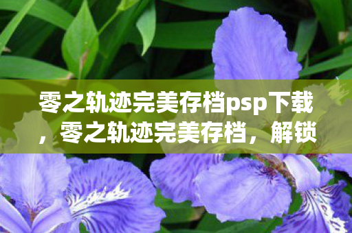 零之轨迹完美存档psp下载，零之轨迹完美存档，解锁游戏世界的秘密