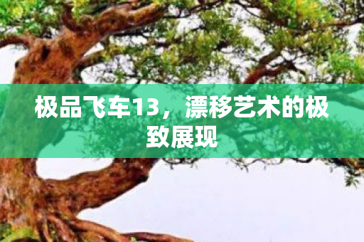 极品飞车13，漂移艺术的极致展现