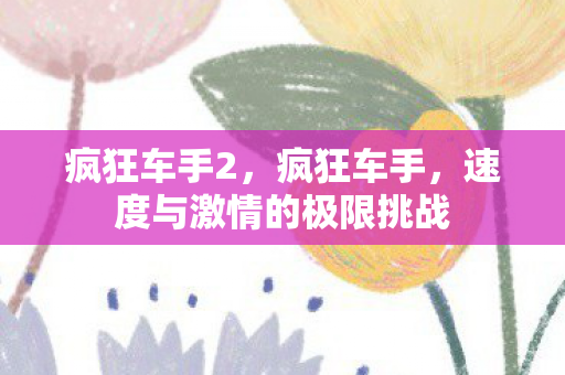 疯狂车手2，疯狂车手，速度与激情的极限挑战