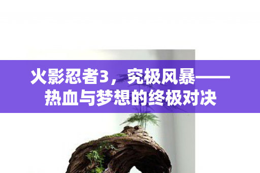 火影忍者3，究极风暴——热血与梦想的终极对决