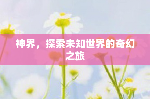 神界，探索未知世界的奇幻之旅