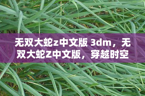 无双大蛇z中文版 3dm，无双大蛇Z中文版，穿越时空的终极战斗盛宴