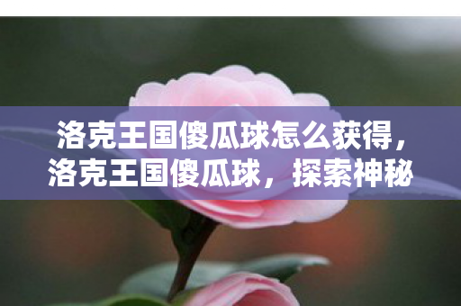 洛克王国傻瓜球怎么获得，洛克王国傻瓜球，探索神秘王国的奇妙之旅