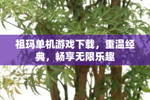 祖玛单机游戏下载，重温经典，畅享无限乐趣