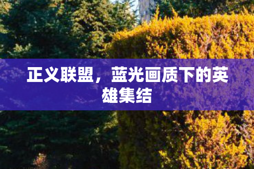 正义联盟,蓝光画质下的英雄集结 正义联盟,蓝光画质下的英雄集结